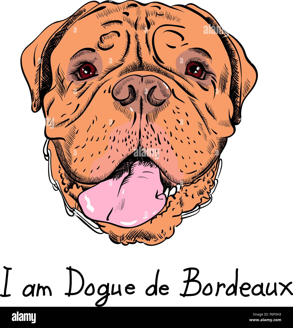 Vector funny cartoon hipster cane Mastiff francese Illustrazione Vettoriale