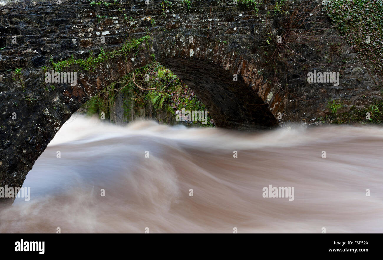 North Yorkshire, Regno Unito. 18 Novembre, 2015. Pack Horse ponte con acqua di inondazione. Credito: Wayne HUTCHINSON/Alamy Live News Foto Stock