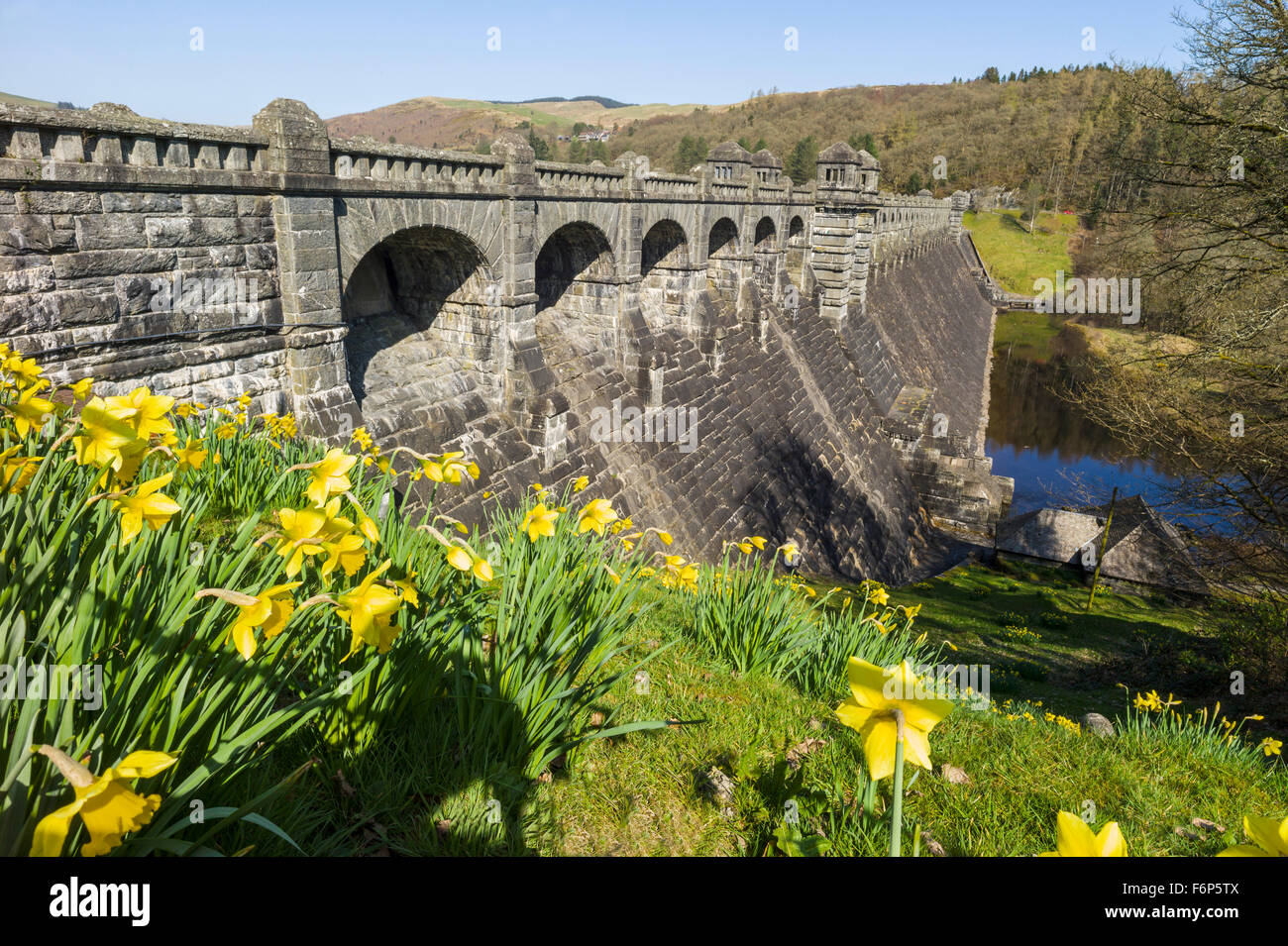 Lago Vernyw Vittoriano costruito in pietra della parete della diga in primavera con il daffodils in primo piano, Foto Stock