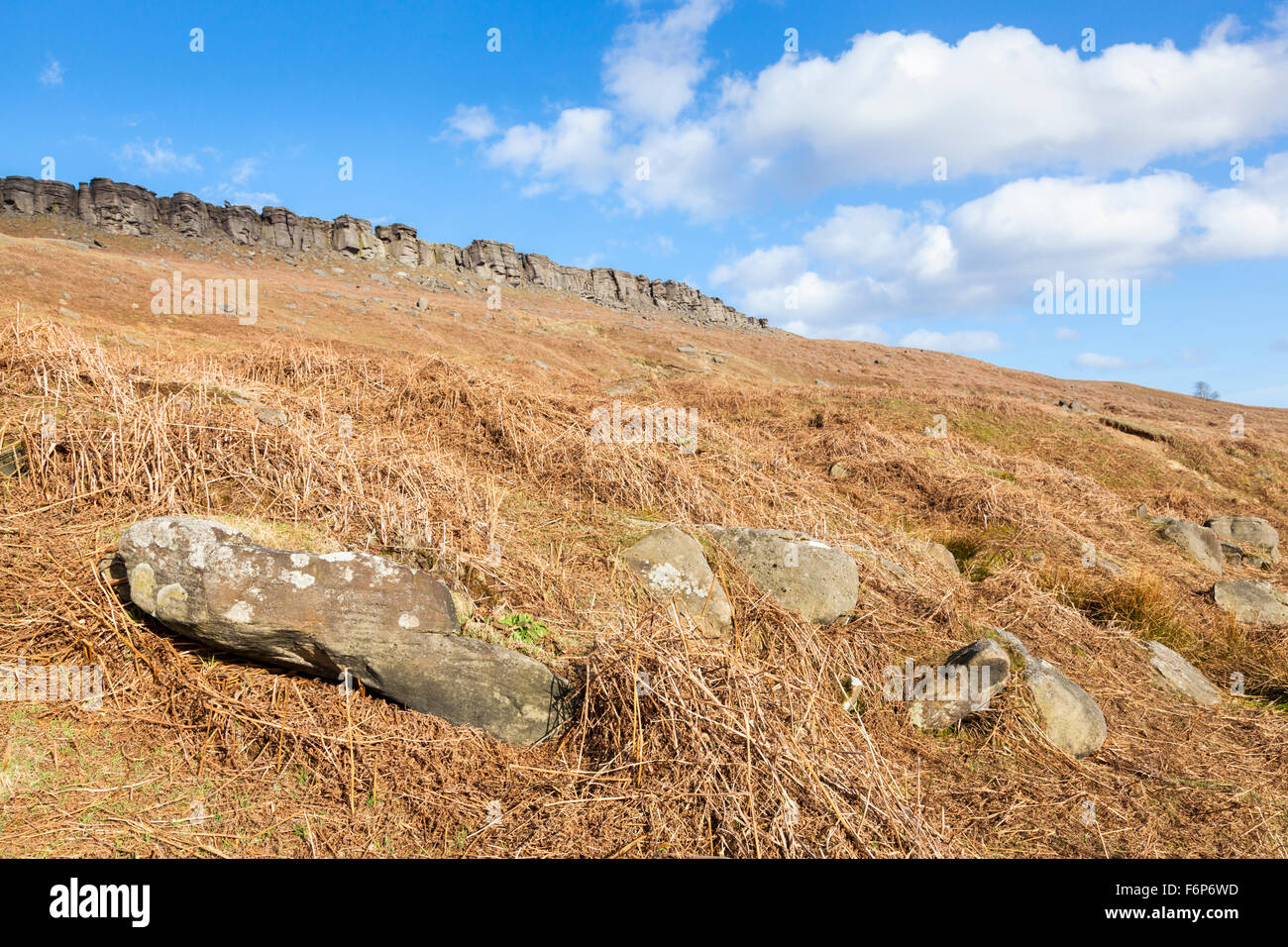 Una collina di dead bracken su un moro con bordo Stanage, uno di diversi locali gritstone bordi, la distanza. Derbyshire, Peak District, England, Regno Unito Foto Stock