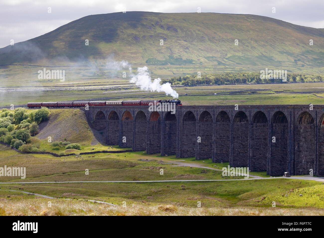Viadotto Ribblehead. Treno a vapore LMS Giubileo Classe Leander 45690 attraversato il viadotto sotto Park è sceso hill. Foto Stock