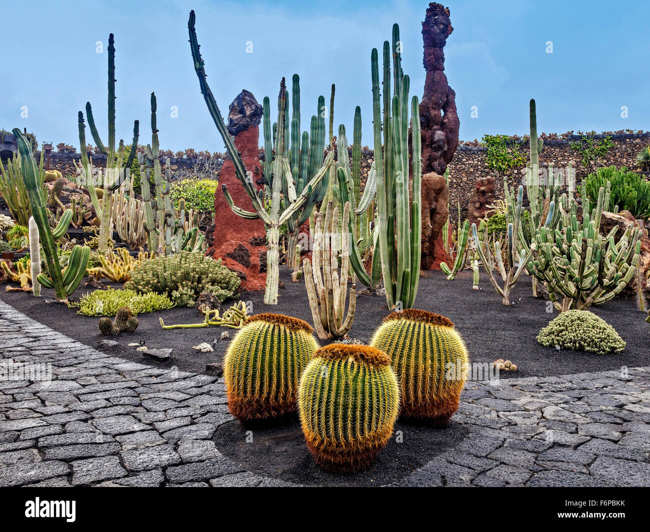 Guatiza giardino di cactus Lanzarote isole Canarie Foto Stock