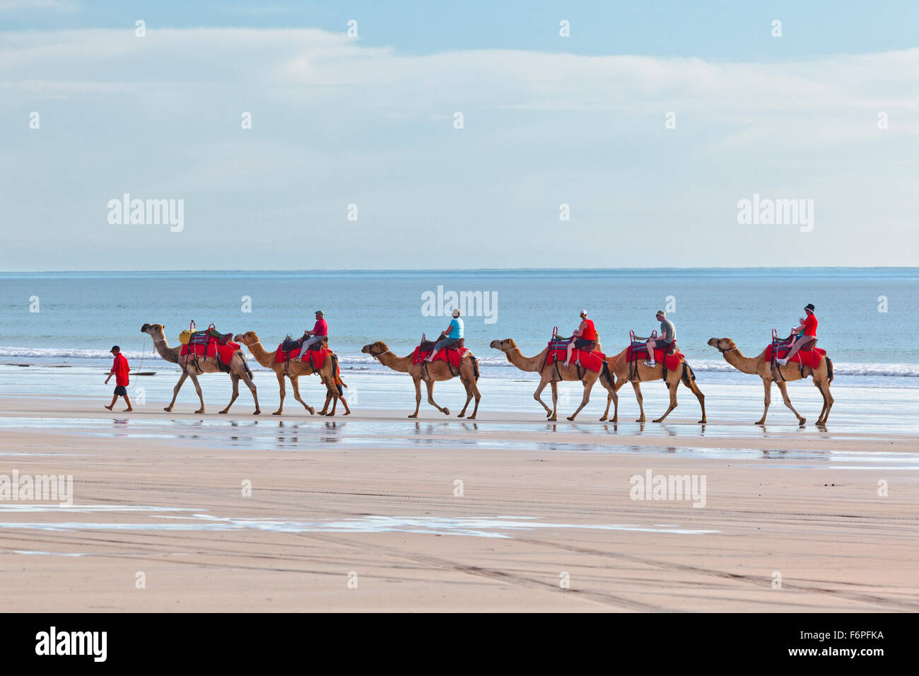 Australia, Australia occidentale, Broome, corsa in cammello a Cable Beach Foto Stock