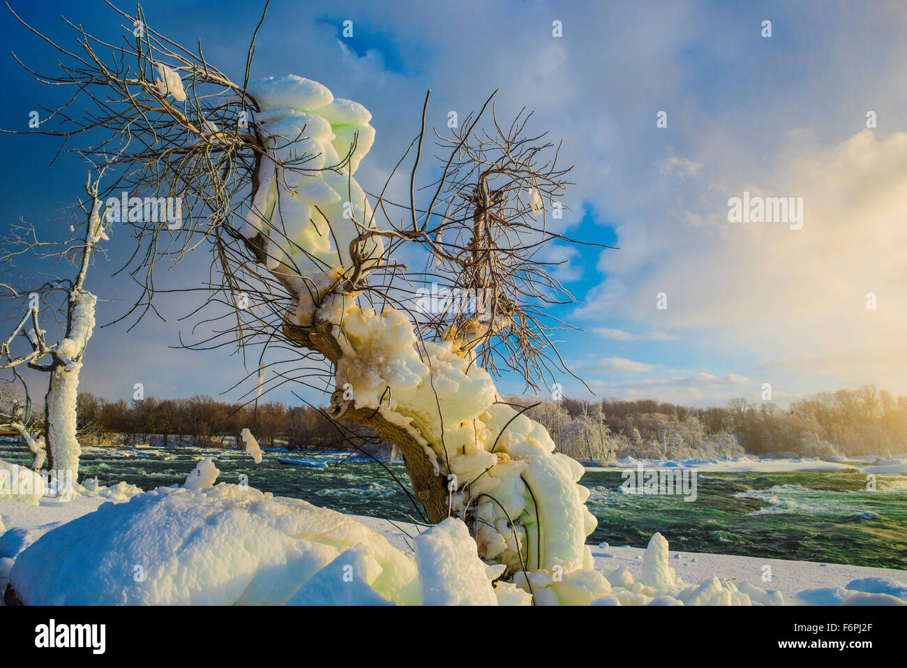 Iced intoppo alle Cascate del Niagara in inverno, Niagara Falls State Park, New York, Cascate Americane Foto Stock