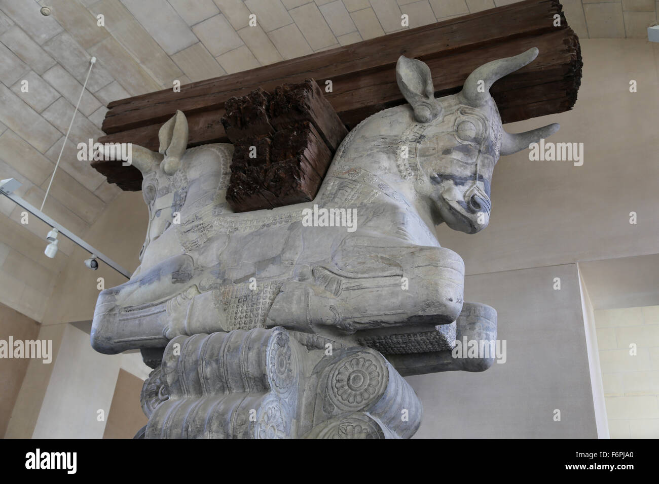 Colonna di capitale. Camera di audience Hall. Apadama. Palazzo di Dario il Grande. V secolo A.C. Susa. L'Iran. Il museo del Louvre. Parigi. Foto Stock