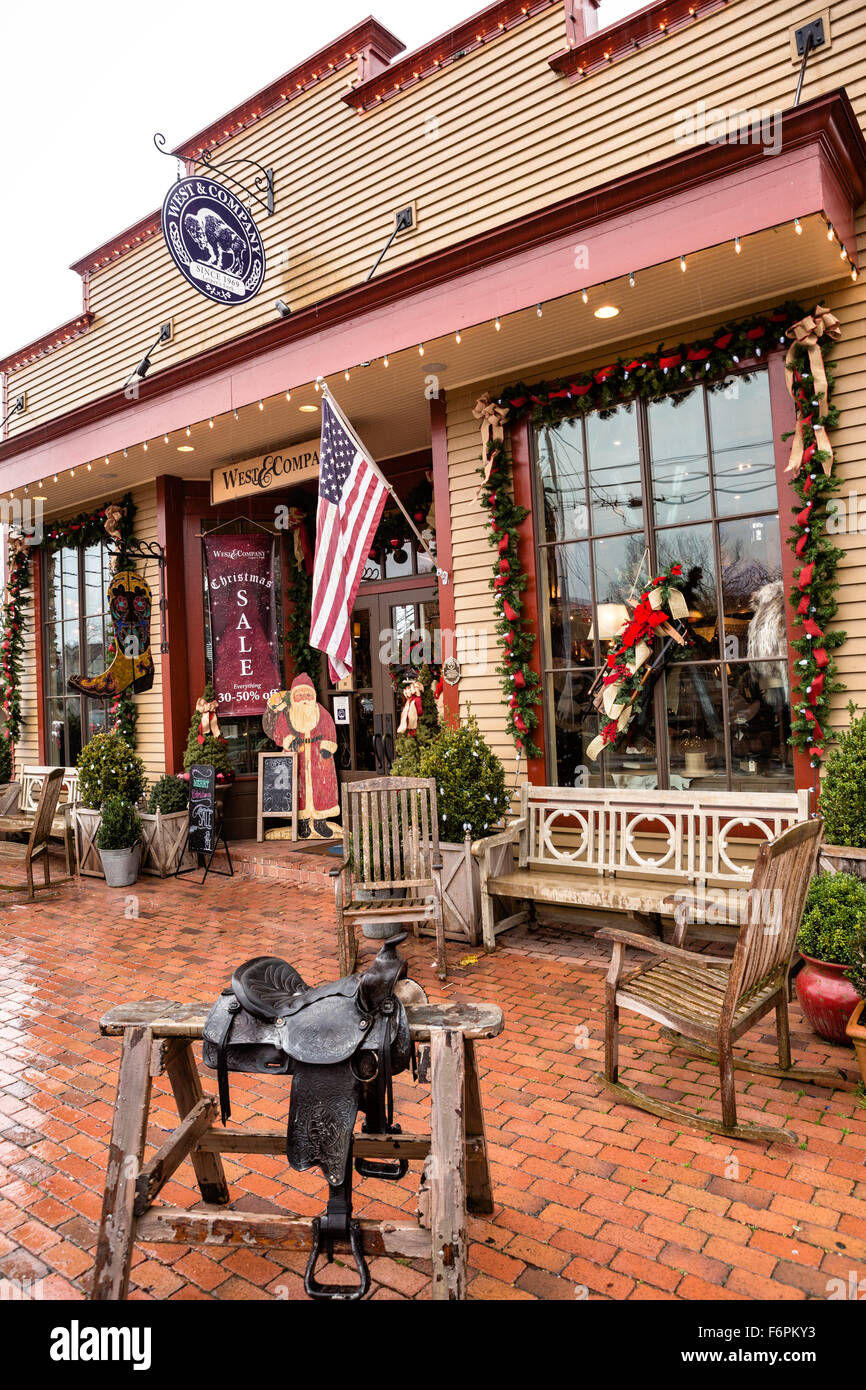 West & Company shop nella forcella Leipers, Tennessee. Foto Stock
