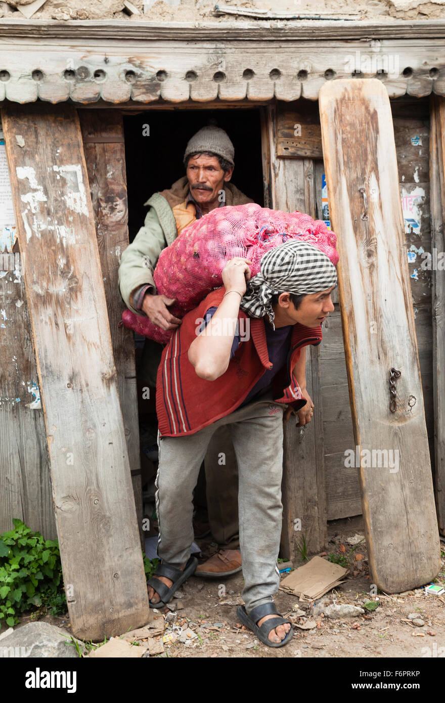 Indian operaio che trasportano le verdure in un villaggio himalayano di Himachal Pradesh. Foto Stock