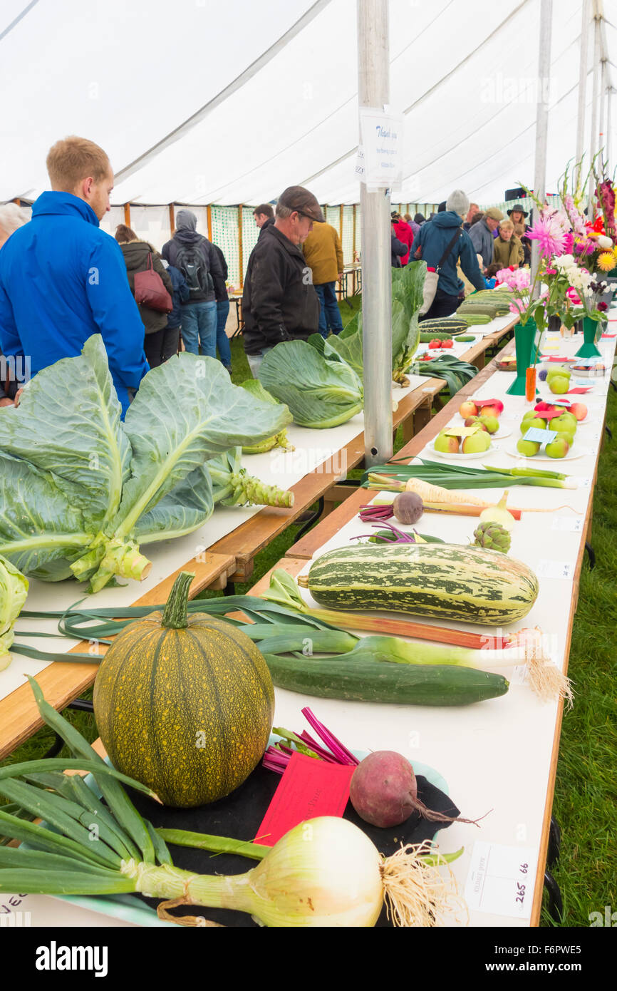 La frutta e la verdura i vincitori del premio a Kildale mostrano, North Yorkshire, Inghilterra. Regno Unito Foto Stock