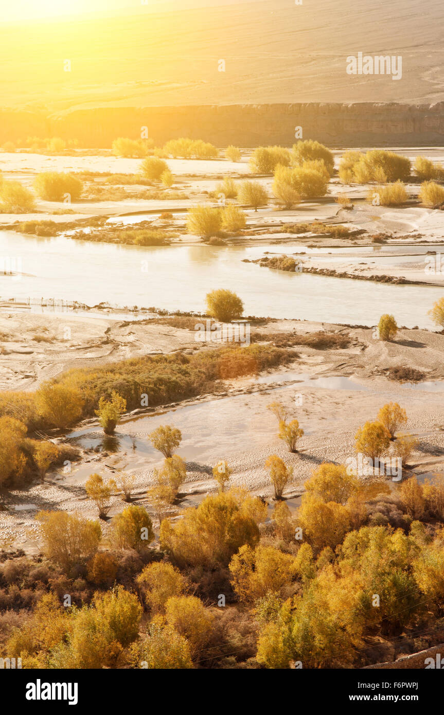 Fiume indo in vista di sunrise cade durante la stagione, Leh, Ladakh, Jammu e Kashmir India del Nord Foto Stock
