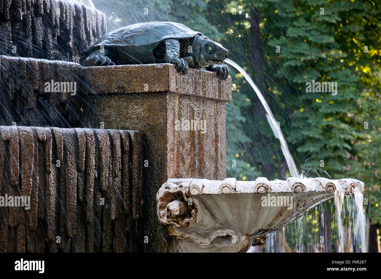 Dettaglio delle tartarughe di acqua dolce Fontana nel parco del Retiro di Madrid, Spagna. La fontana fu costruito dall'architetto Francisco Javier de Foto Stock