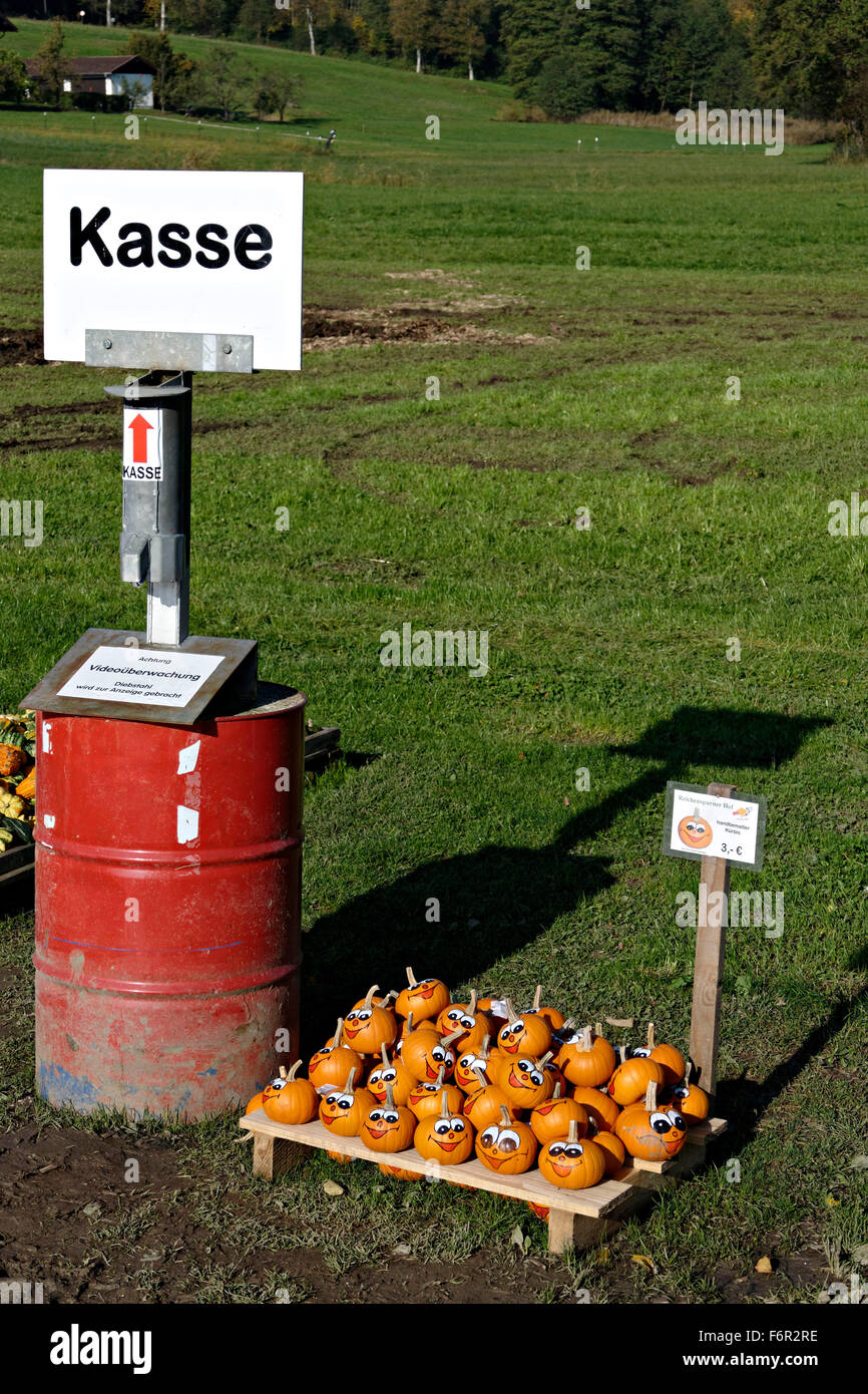 Supporto di zucca, Chiemgau, Alta Baviera, Germania, Europa. Foto Stock