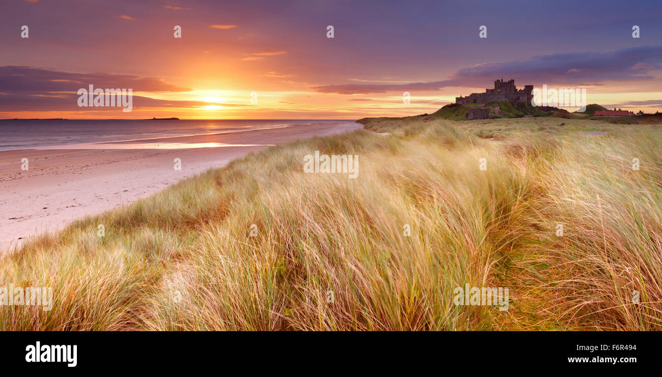 Sunrise oltre le dune a Bamburgh, Northumberland, Inghilterra con il castello di Bamburgh in background. Foto Stock
