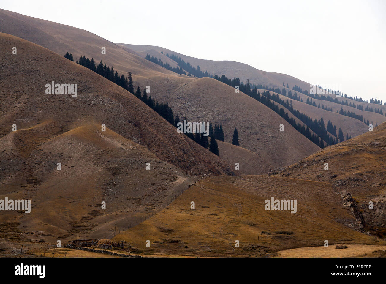Paesaggio Monti Tien Shan, Regione autonoma di Xinjiang, Cina. Foto Stock