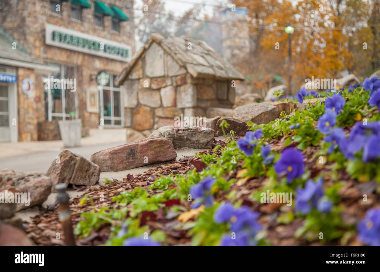 Colori autunnali a Lookout Mountain Georgia Foto Stock
