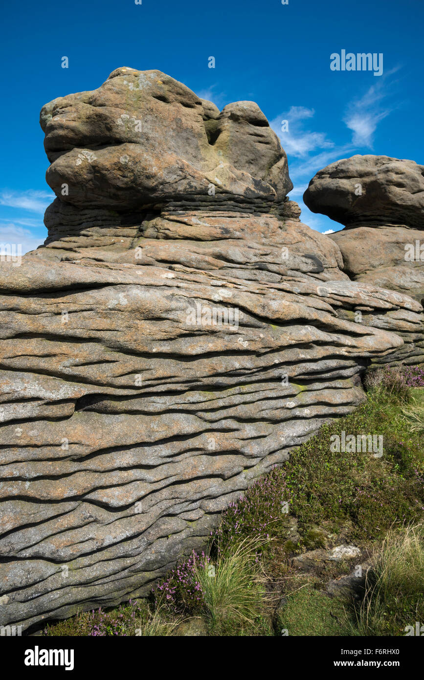 Insolite formazioni rocciose di weathered gritstone a squillare Roger su Kinder Scout nel Peak District, Derbyshire. Foto Stock