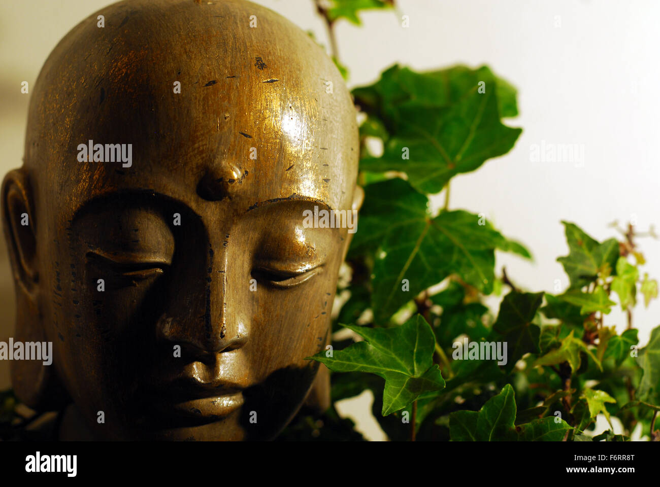 Budda,buddist,budism,religione orientale,la religione,religiosi icone,faccia,close up ivy,foglie Foto Stock