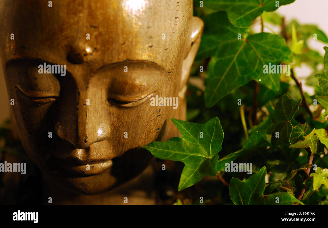 Budda,buddist,budism,religione orientale,la religione,religiosi icone,faccia,close up ivy,foglie Foto Stock