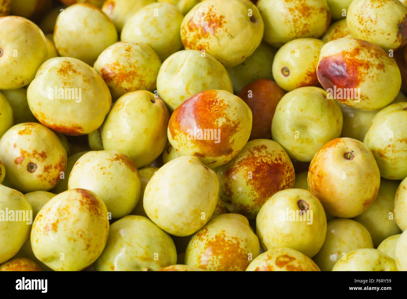 Pila di Jujube freschi frutti a livello locale mercato degli agricoltori Foto Stock