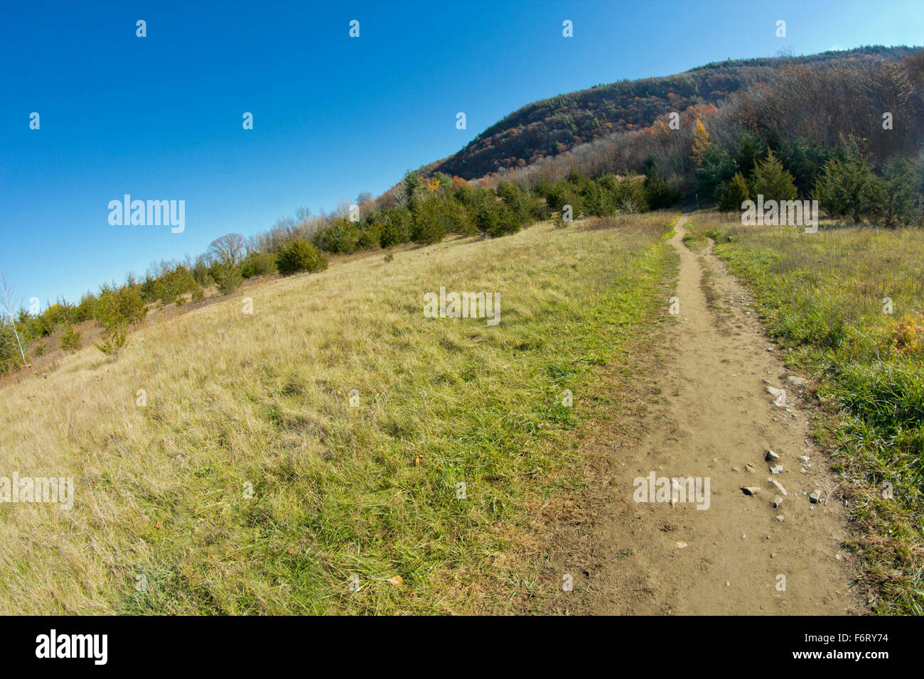 Percorso sterrato che conduce ai monti Appalachi su cool giorni di autunno Foto Stock