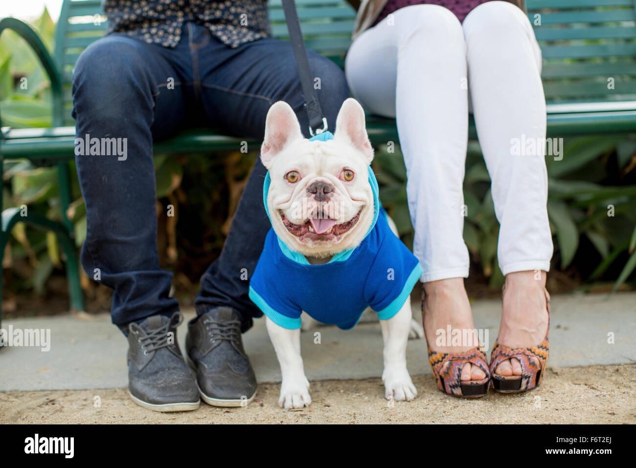 Giovane seduto su un banco di lavoro con il cane Foto Stock
