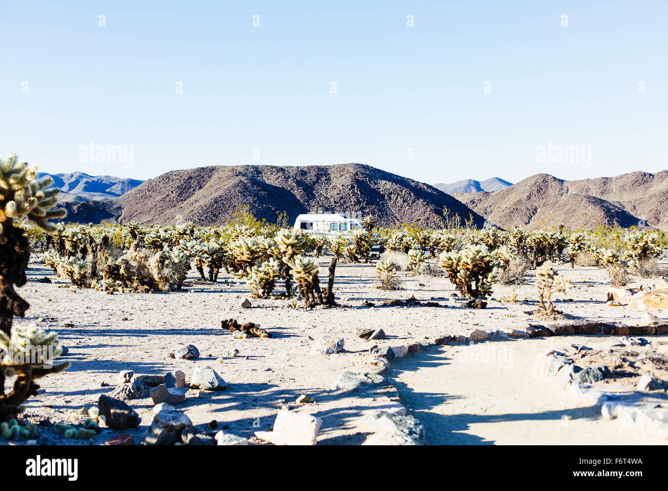 Percorso attraverso il campo nel paesaggio del deserto Foto Stock