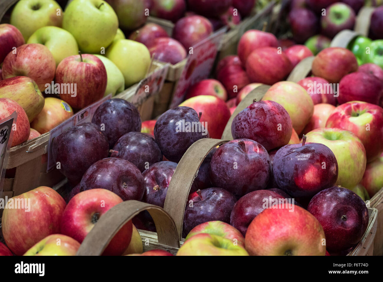 Varietà di mele sul display in un mercato degli agricoltori, Massachusetts, STATI UNITI D'AMERICA Foto Stock