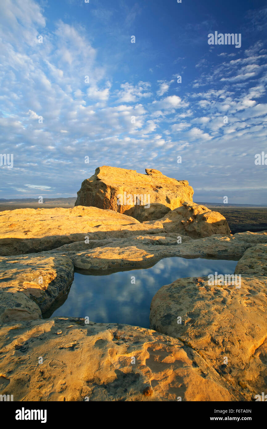 Tasca di acqua in arenaria, El Malpais monumento nazionale, Nuovo Messico USA Foto Stock