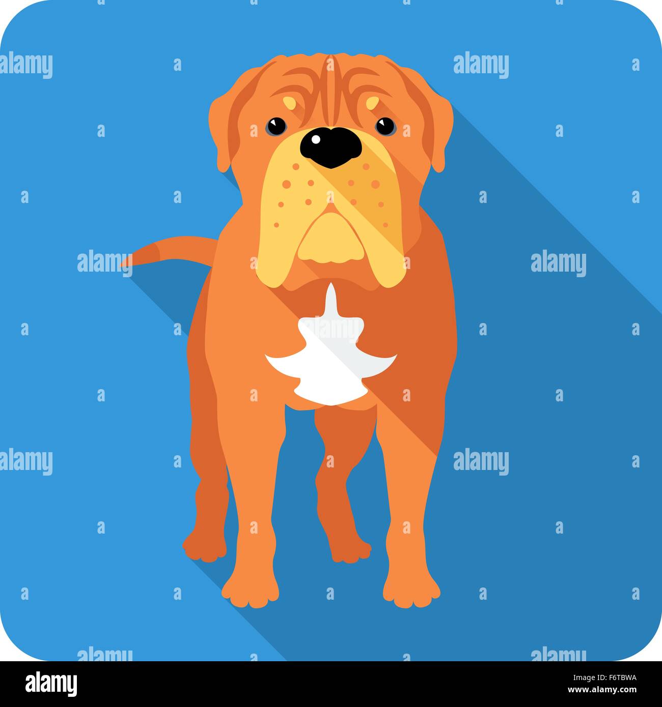 Francese cane Mastiff icona design piatto Illustrazione Vettoriale