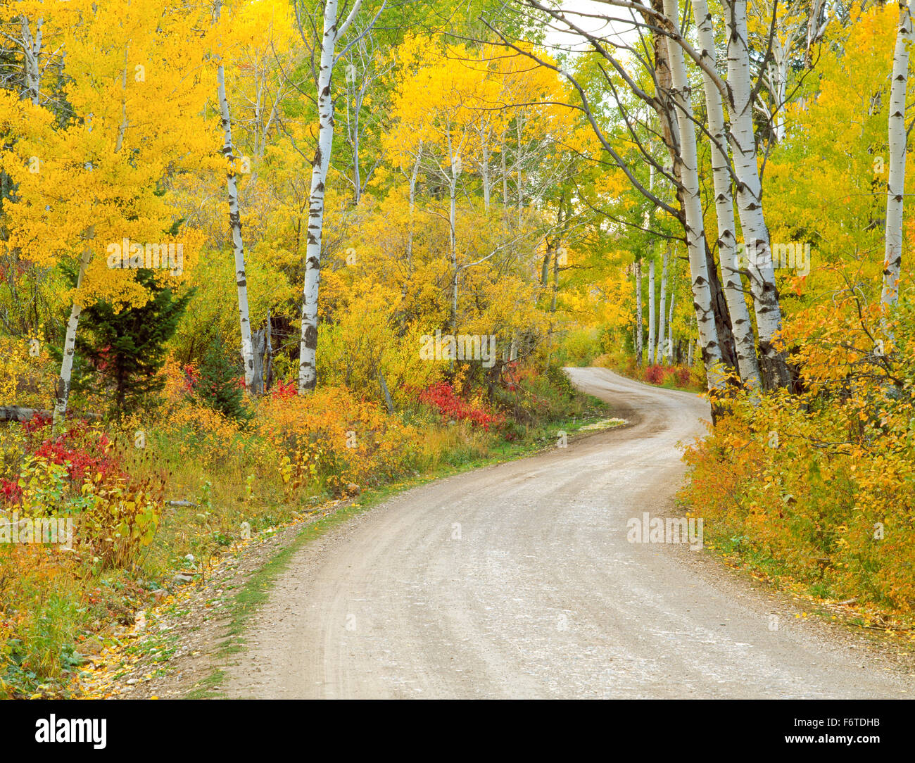 i colori cadono lungo una strada nella valle centenaria vicino al lago, montana Foto Stock