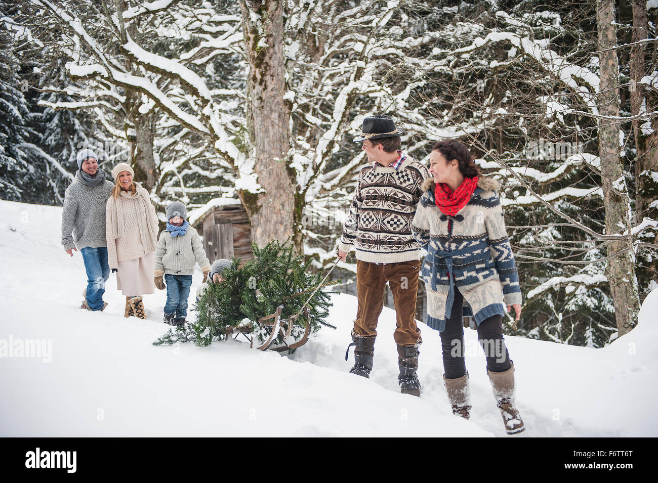 Austria, Altenmarkt-Zauchensee, due coppie e due bambini il trasporto di albero di natale nella foresta di inverno Foto Stock