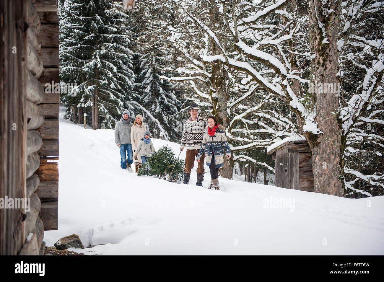 Austria, Altenmarkt-Zauchensee, due coppie e due bambini il trasporto di albero di Natale attraverso la foresta di inverno Foto Stock