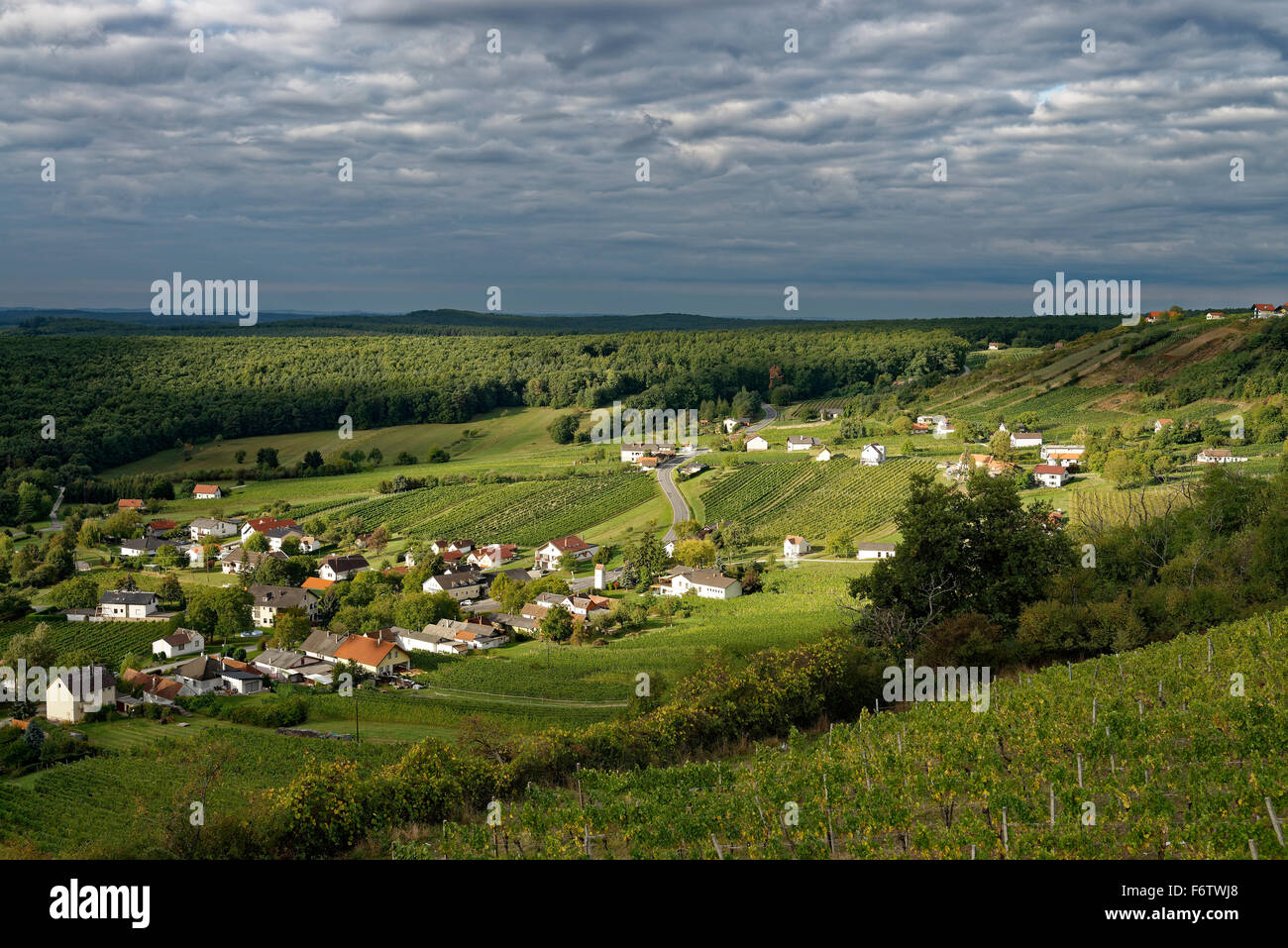 Austria, Burgenland, Eisenberg an der Pinka, vista del villaggio con vigneti Foto Stock