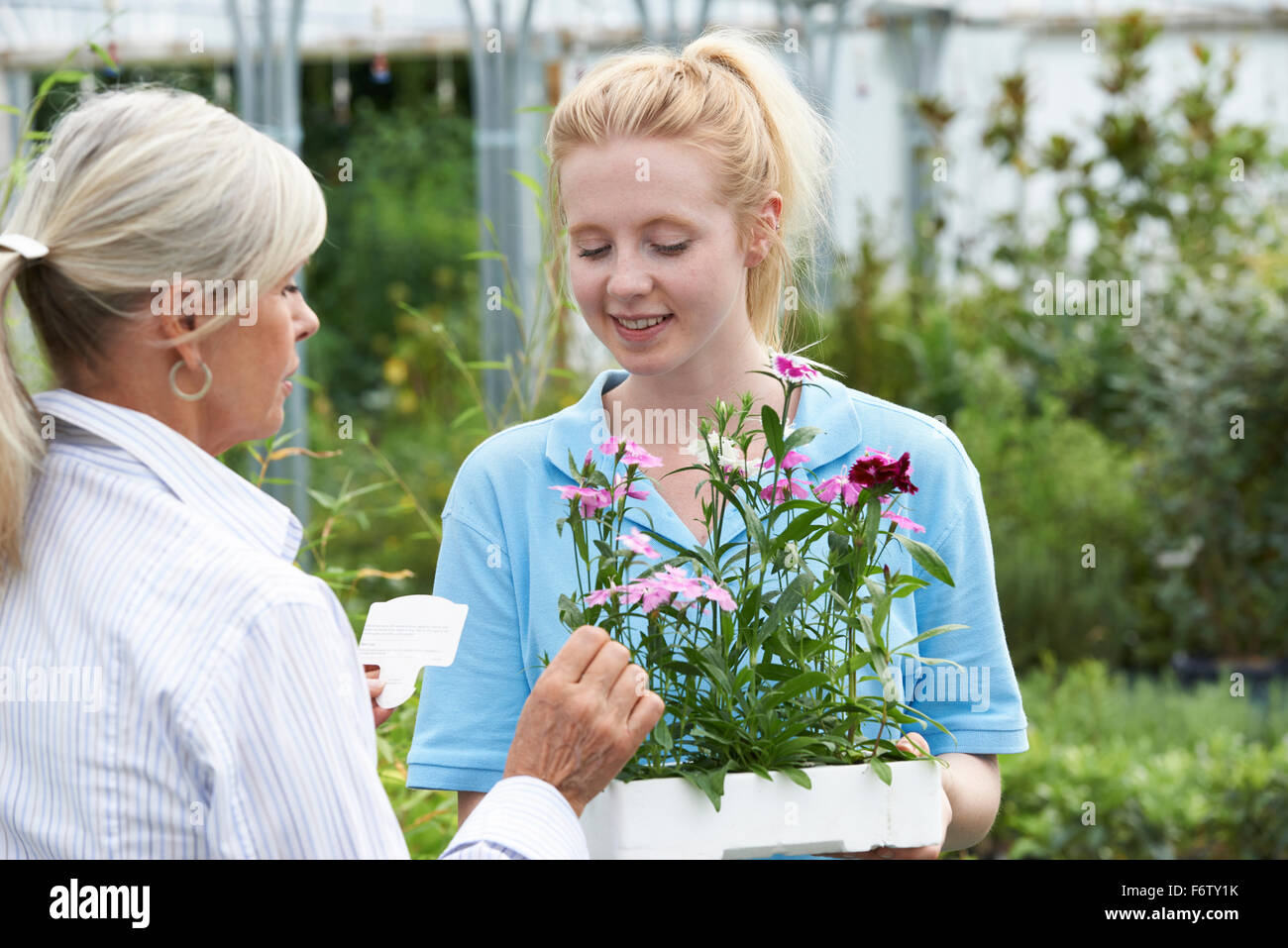 Il personale dando consigli di piante femmina e il cliente al centro del giardino Foto Stock