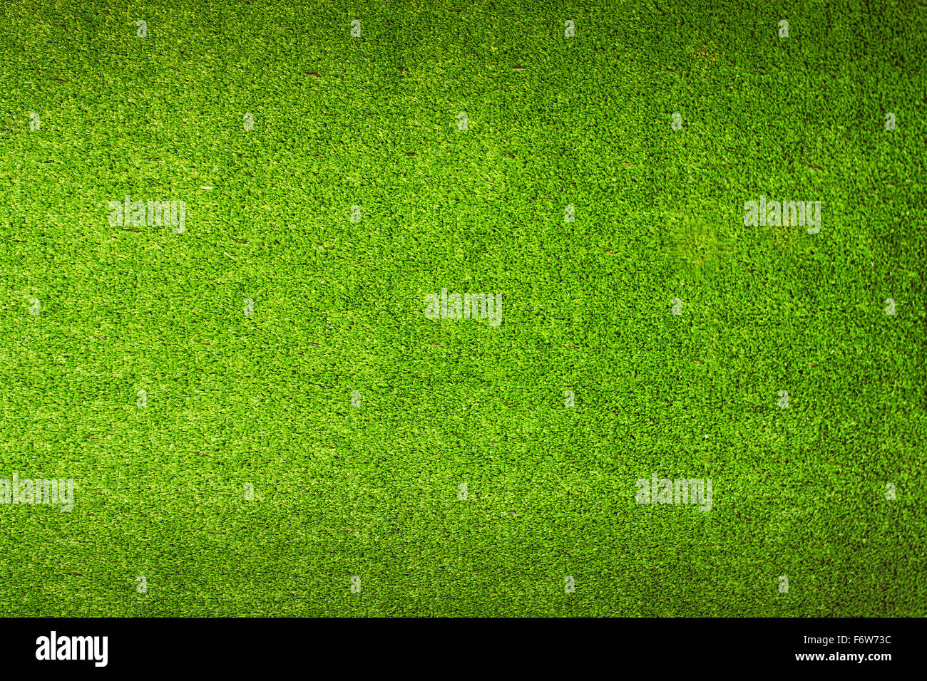 Verde erba texture di sfondo. Foto Stock