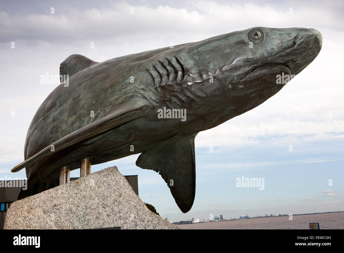 Regno Unito, Inghilterra, nello Yorkshire, Hull, bronzo scultura di squalo fuori del Deep Marine Aquarium Foto Stock