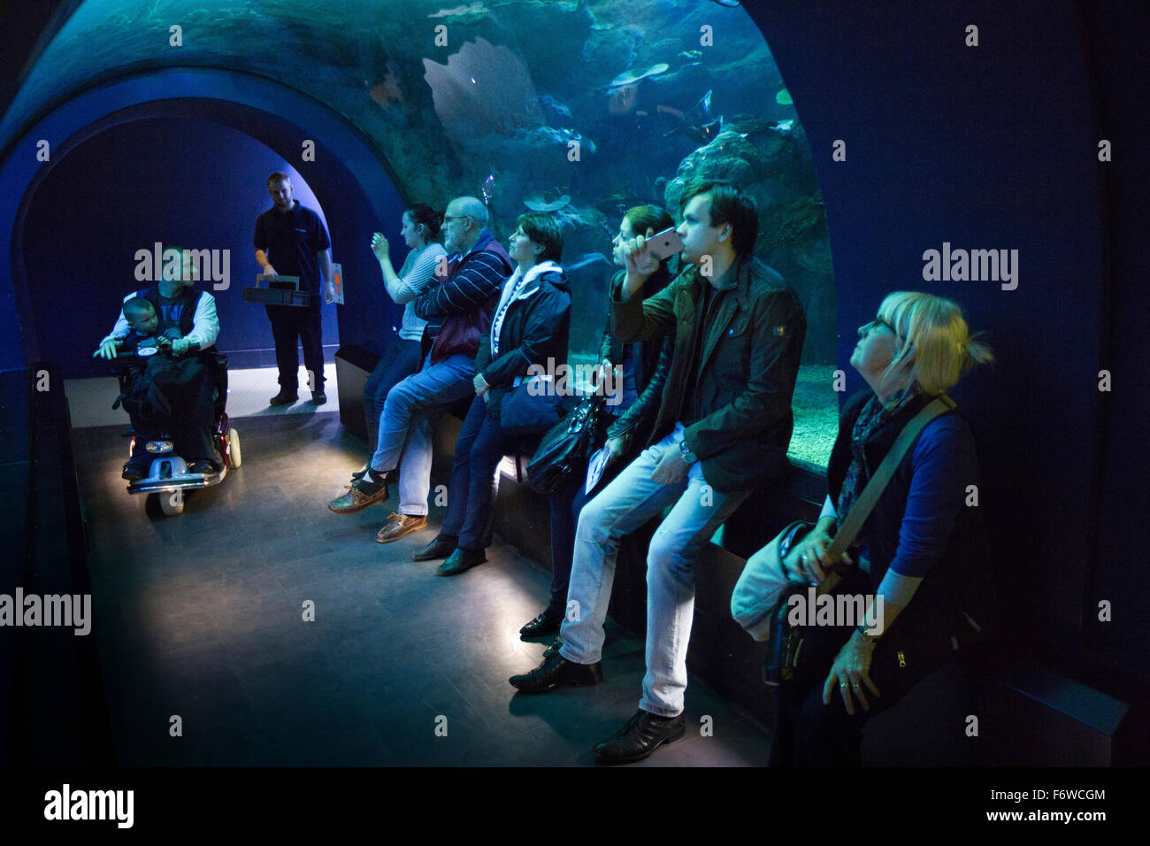 Regno Unito, Inghilterra, nello Yorkshire, Hull, il Deep Marine Aquarium, infinito oceano i visitatori nel tunnel Foto Stock
