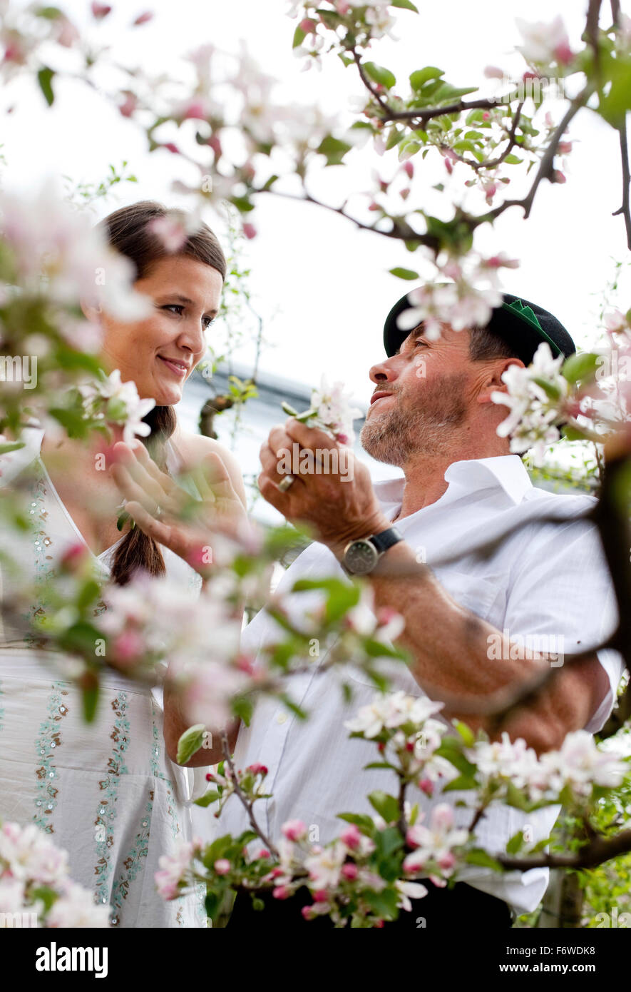 Giovane donna e frutta agricoltore tra fioriti alberi di mele, Riegersburg, Stiria, Austria Foto Stock