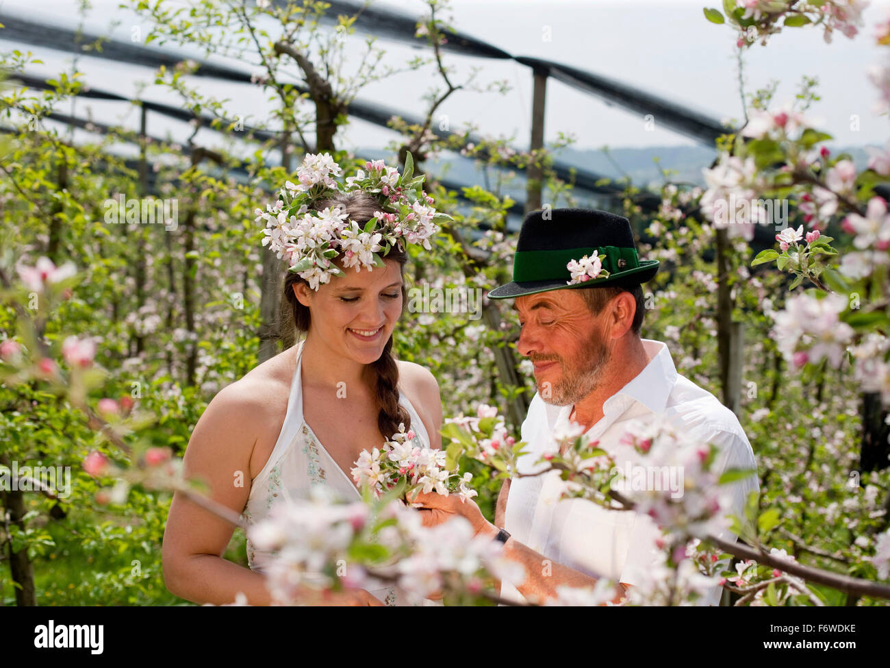 Giovane donna e frutta agricoltore tra fioriti alberi di mele, Riegersburg, Stiria, Austria Foto Stock