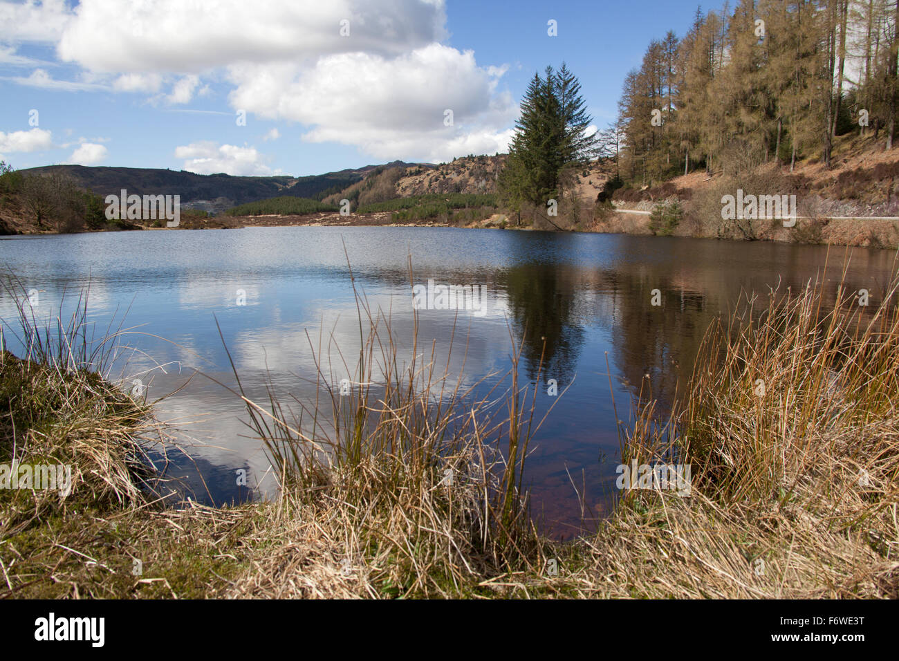 Trossachs, Scozia. Vista pittoresca del Loch Reoidhte situato sul Forest Drive della Queen Elizabeth Forest Park. Foto Stock