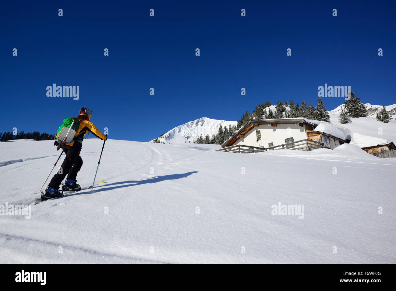 Backcountry femmina sciatore ascendente di Hinteres Sonnwendjoch Mangfall, montagne, Prealpi bavaresi, Tirolo, Austria Foto Stock