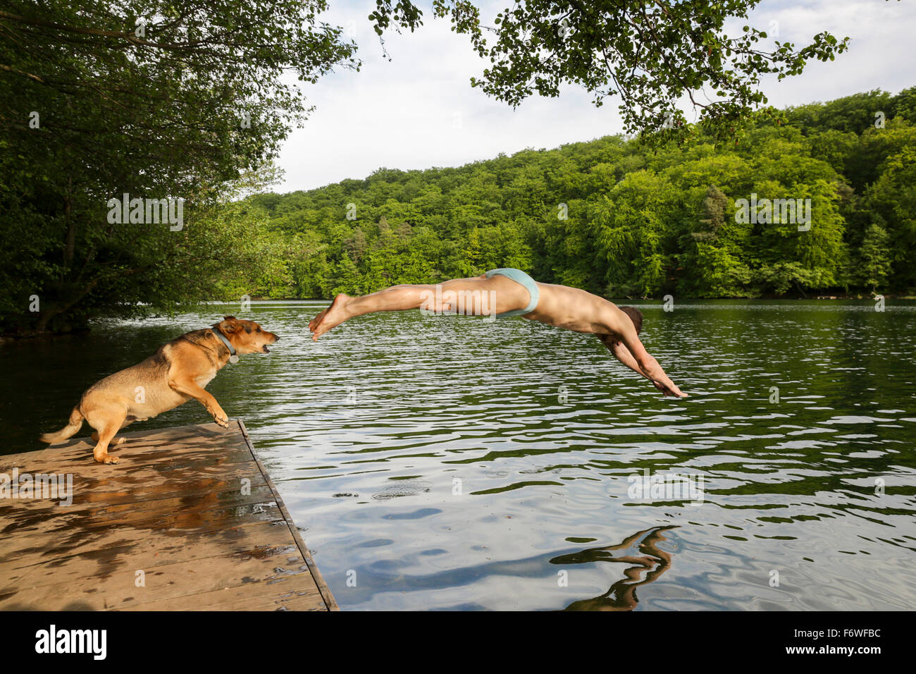 L'uomo saltando nel lago Schmaler Luzin, Feldberger Seenlandschaft, Meclemburgo-Pomerania, Germania Foto Stock