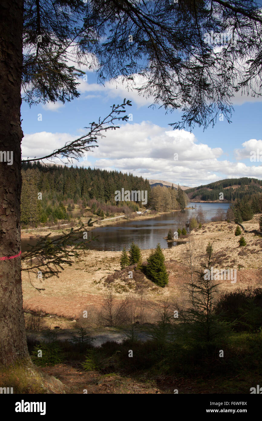 Trossachs, Scozia. Vista pittoresca del Loch Drunkie situato sul Forest Drive della Queen Elizabeth Forest Park. Foto Stock