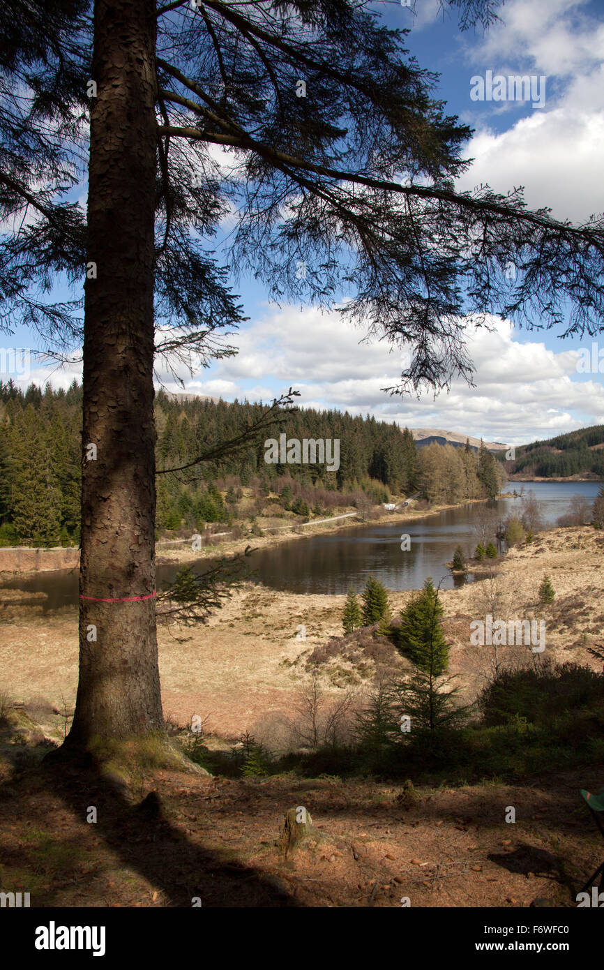 Trossachs, Scozia. Vista pittoresca del Loch Drunkie situato sul Forest Drive della Queen Elizabeth Forest Park. Foto Stock