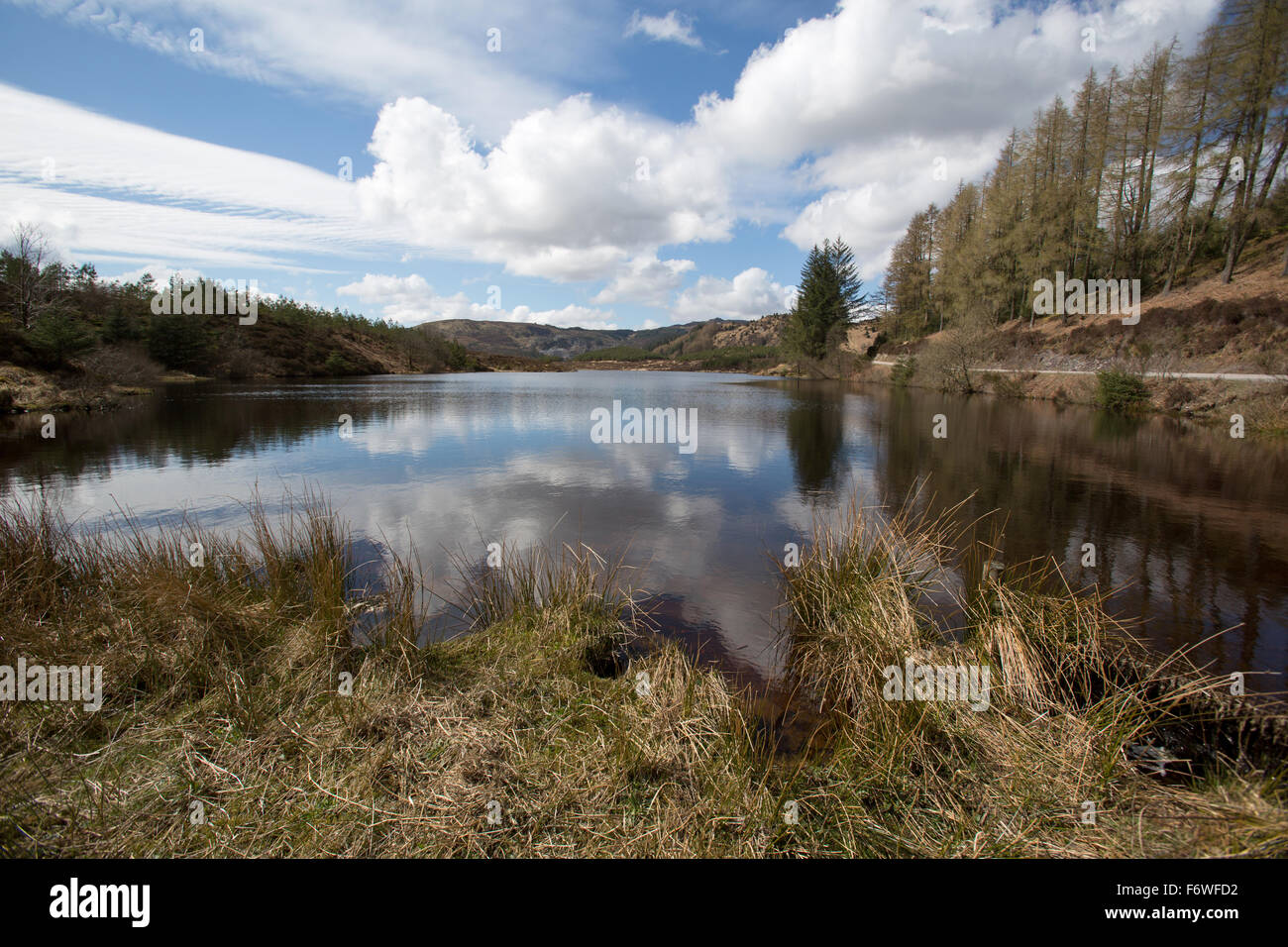 Trossachs, Scozia. Vista pittoresca del Loch Reoidhte situato sul Forest Drive della Queen Elizabeth Forest Park. Foto Stock