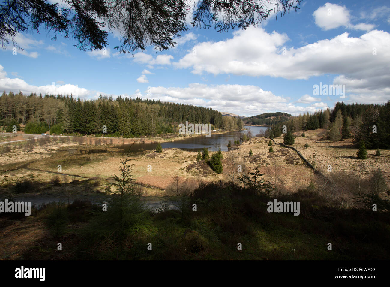 Trossachs, Scozia. Vista pittoresca del Loch Drunkie situato sul Forest Drive della Queen Elizabeth Forest Park. Foto Stock