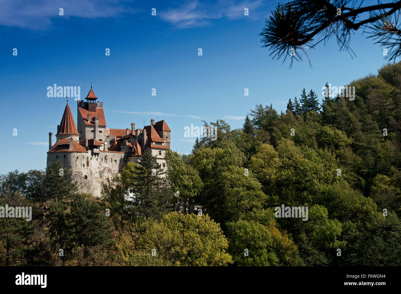 Castello di Bran, crusca, Transilvania, Romania Foto Stock