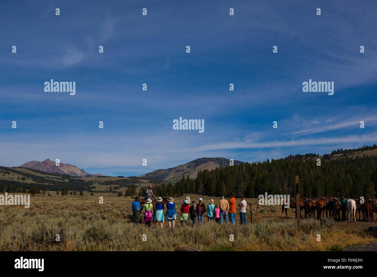 Outfitter dando istruzioni su equitazione a turisti, sportivo Trail, vicino a picco elettrico, il Parco Nazionale di Yellowstone, Foto Stock