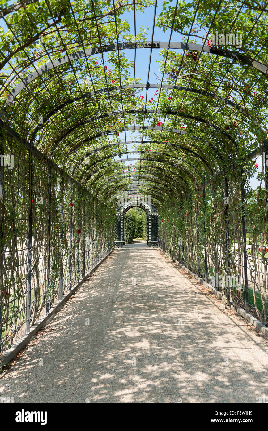 Una parte del giardino del giardino di Schoenbrunn Castello di Sissi. Foto Stock