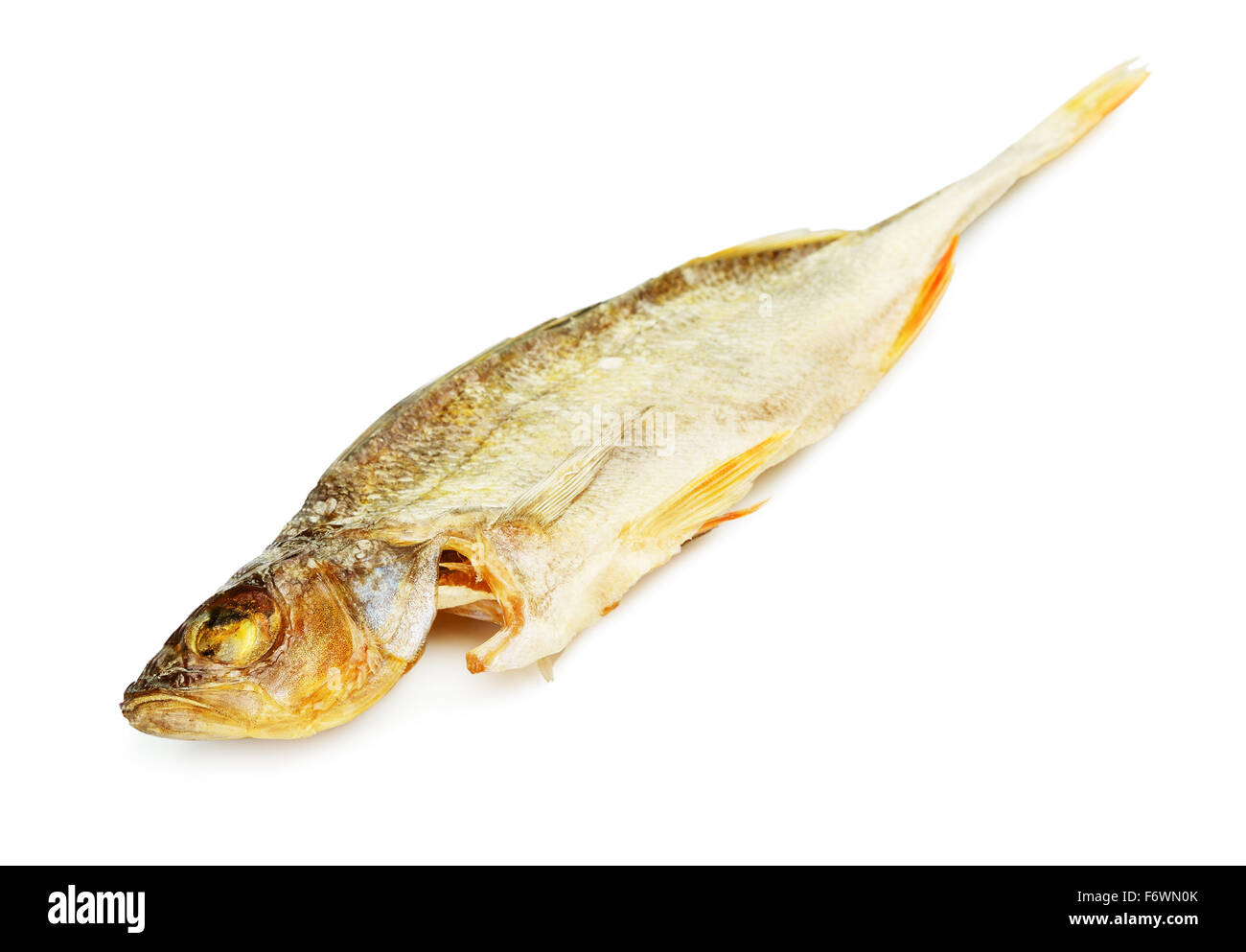 Il salato asciugarono pesce persico, isolati su sfondo bianco Foto Stock