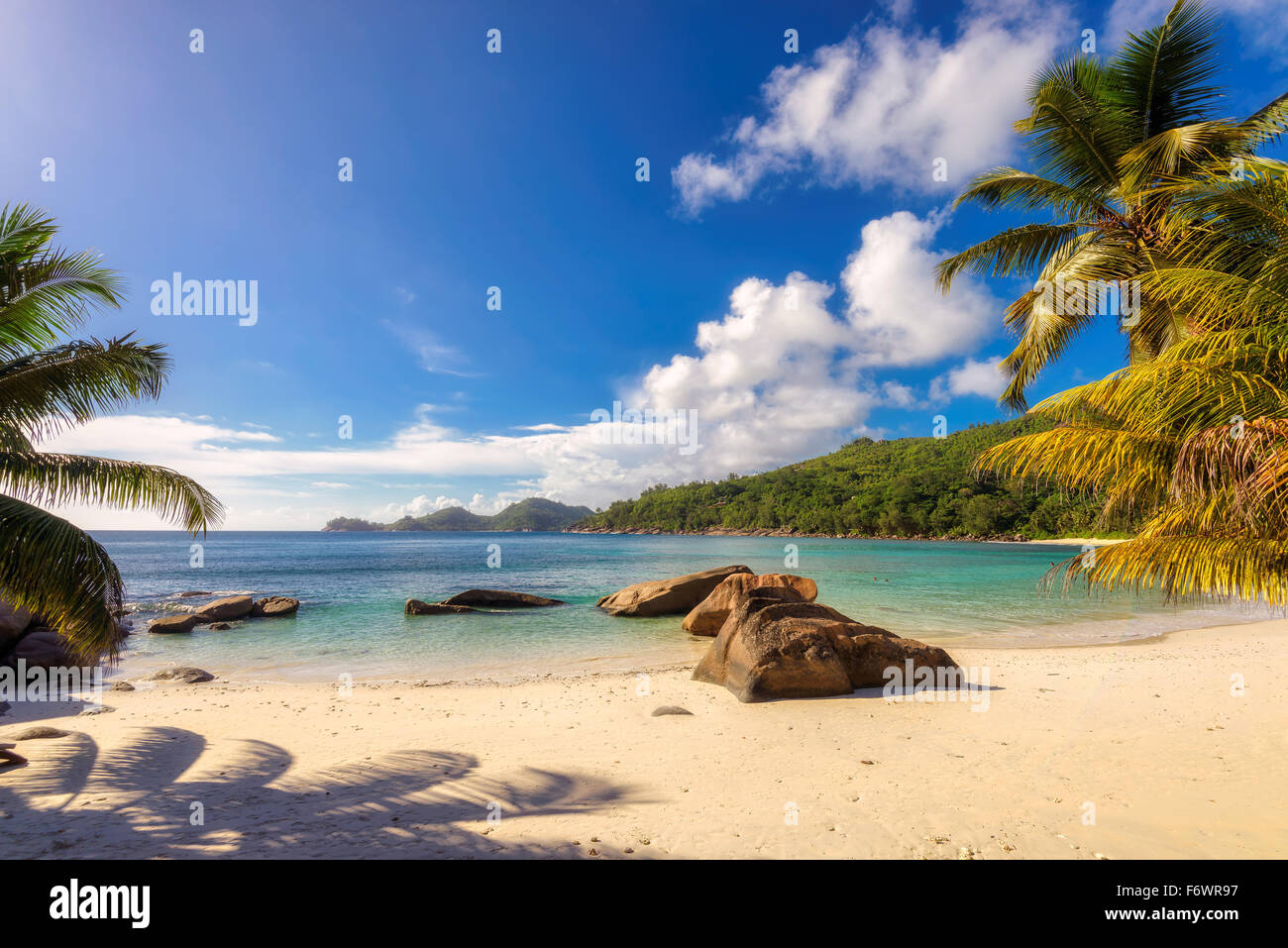 Belle spiagge dell'isola delle Seychelles Foto Stock